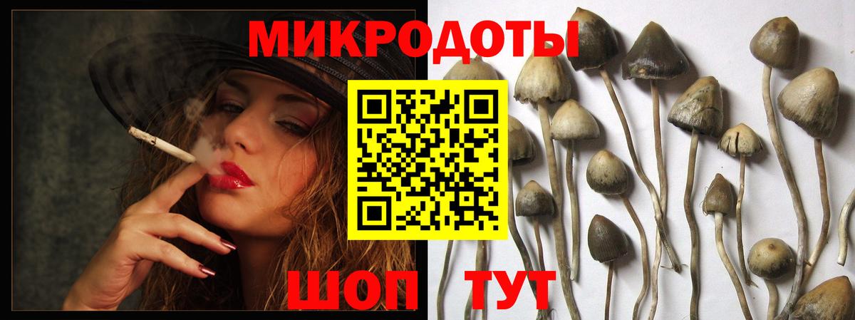 Псилоцибиновые грибы MAGIC MUSHROOMS  Вход с VPN  продажа наркотиков  Джанкой 